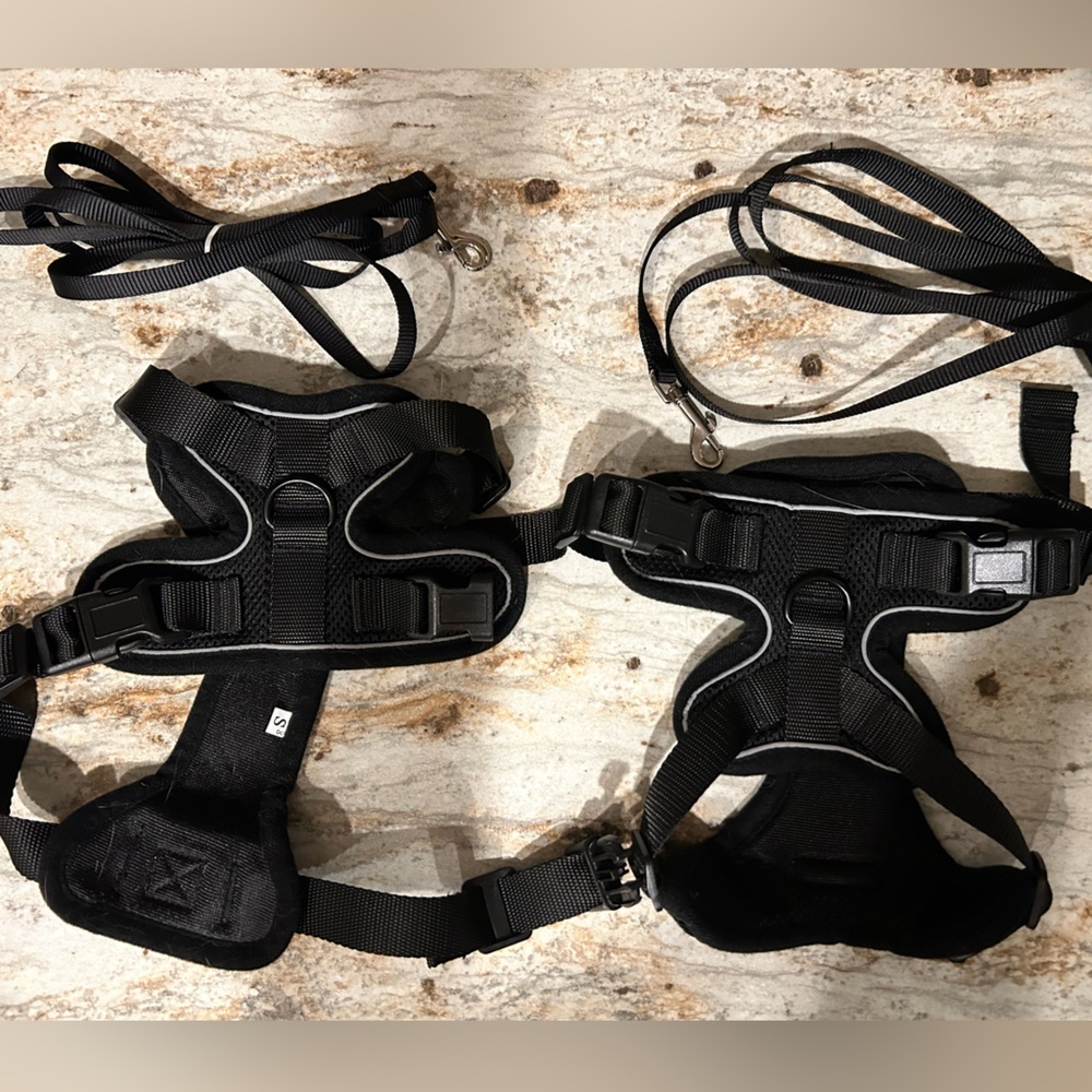 Cat harnesses and leashes x 2